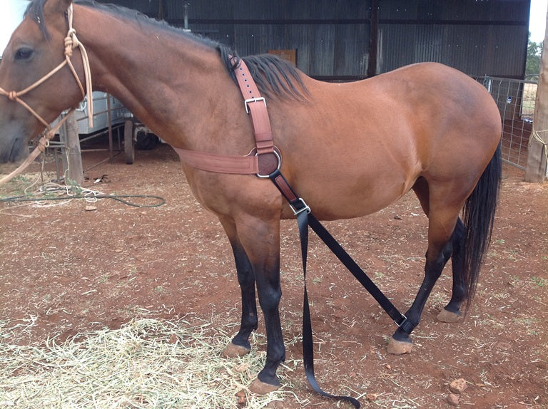 Collar rope for restraining horse