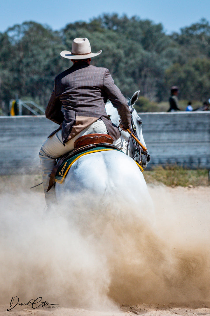 Australian Stock Horse Saddle