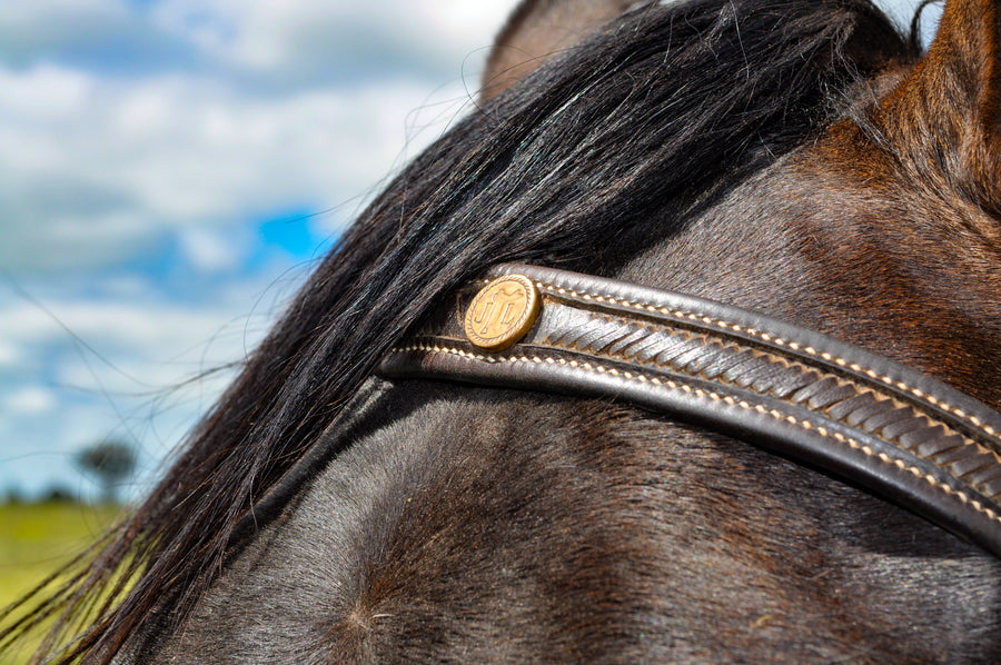 Australian Hand made laced bridle