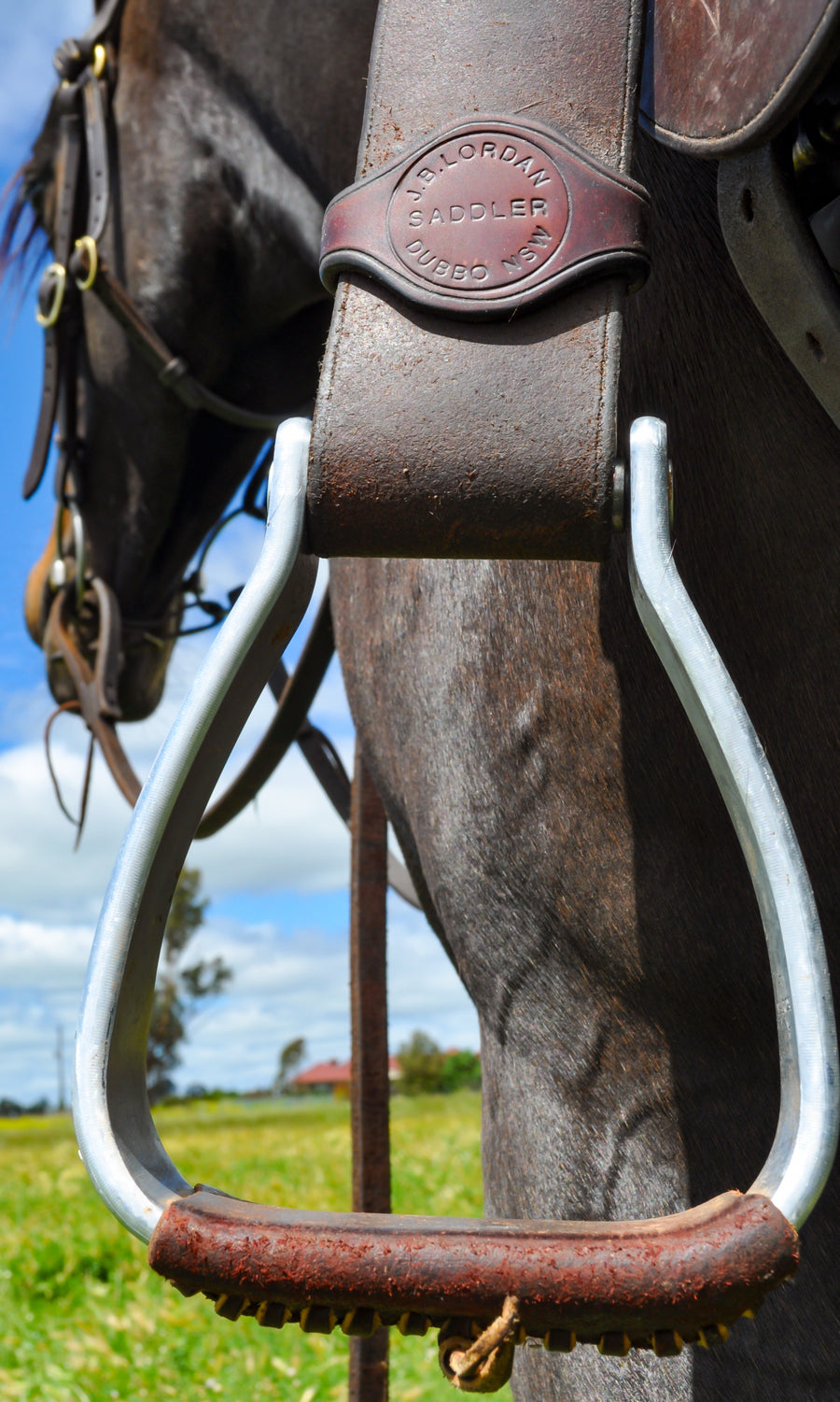 Saddle leather tread oxbows