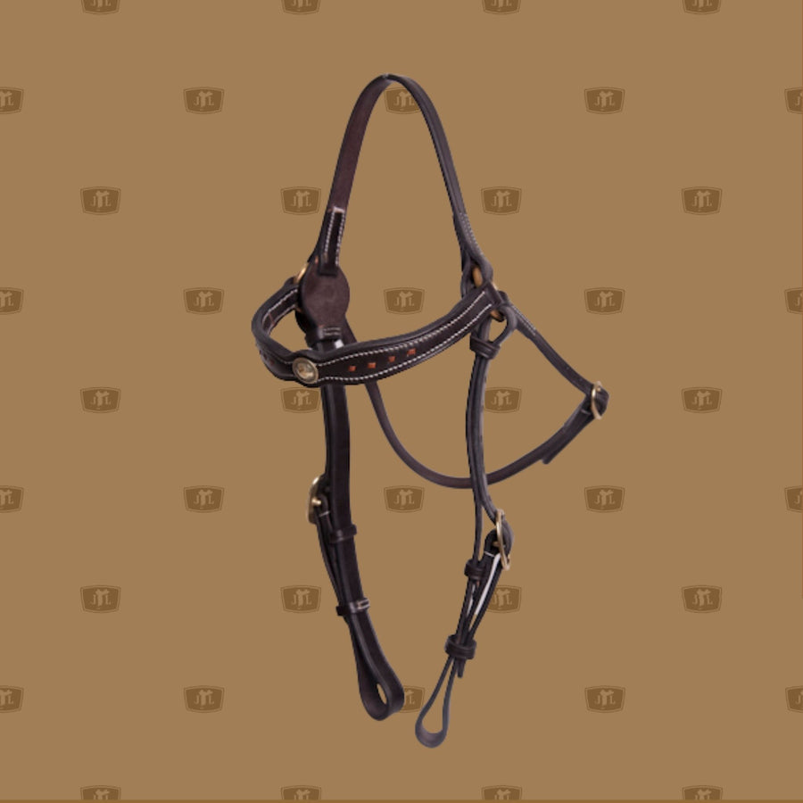 Hand stitched leather bridle