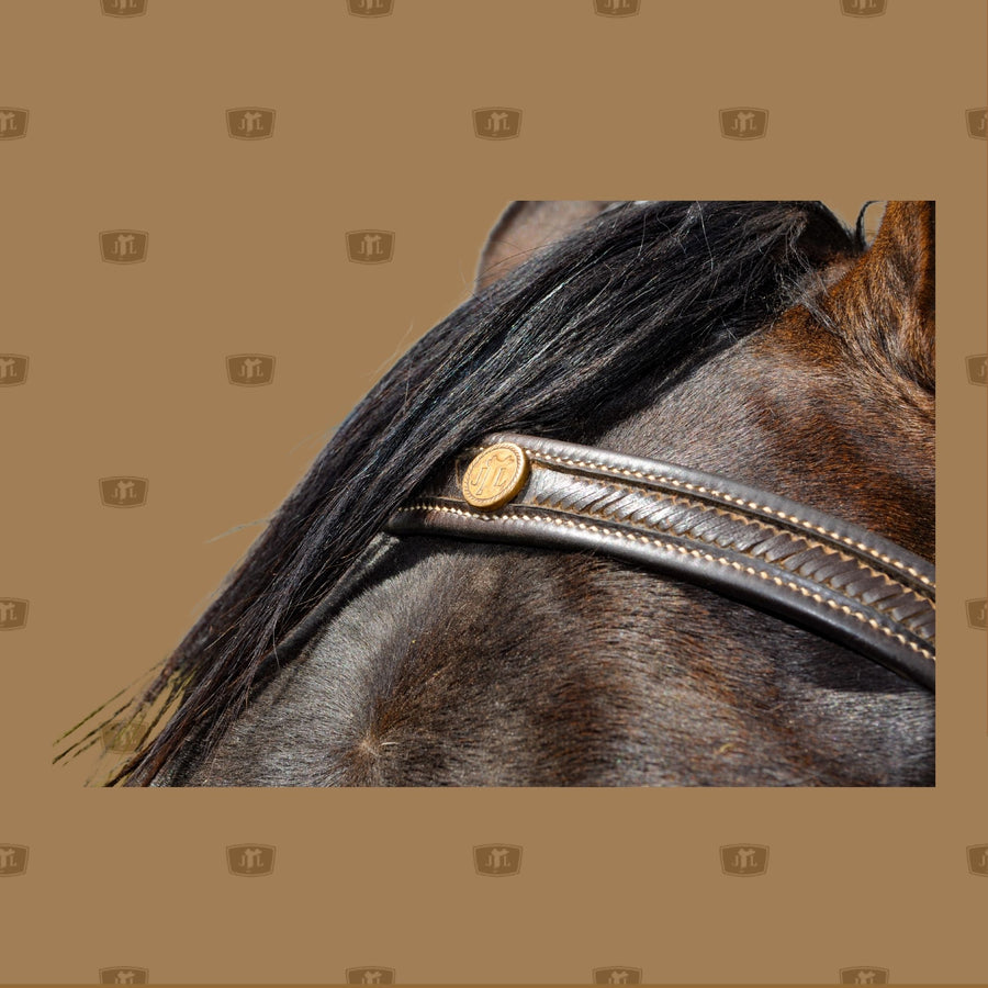 Laced Forehead bridle handcrafted by John Lordan