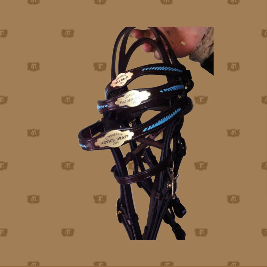 Laced Forehead Bridle Trophy