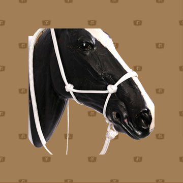 Horse Rope Halter with Lead Combo  Rope Halter 8mm with 7 foot lead